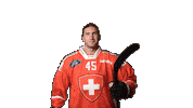 Celebrate National Team Sticker by Swiss Ice Hockey