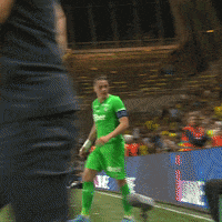 Celebration Emotion GIF by AS Saint-Étienne