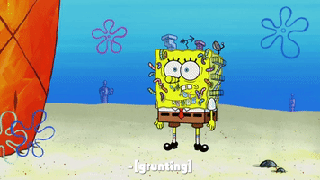 season 10 episode 3 GIF by SpongeBob SquarePants