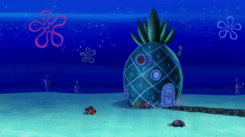 season 10 episode 3 GIF by SpongeBob SquarePants
