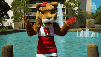 houstoncougars houston sasha gocoogs shasta GIF