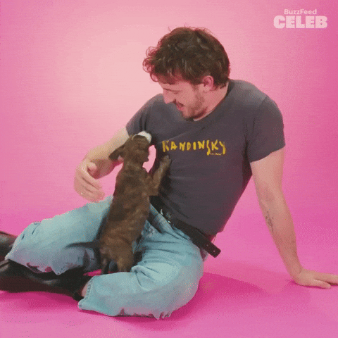 Puppy Puppies GIF by BuzzFeed