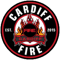 Nihl Fire Hockey Sticker by Cardiff Fire