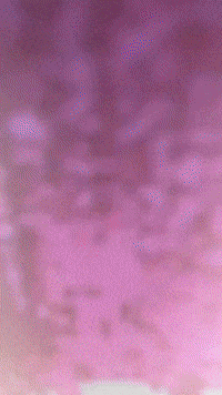 Gamer Lol GIF by Youtooz