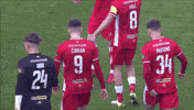 Team Spirit Huddle GIF by Cliftonville Football Club
