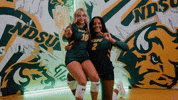 Volleyball Bison GIF by NDSU Athletics