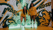 Volleyball Bison GIF by NDSU Athletics