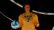 Volleyball Bison GIF by NDSU Athletics