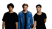 Boy Band Love Sticker by Sony Music Australia