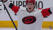 Happy Carolina Hurricanes GIF by NHL