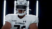 Old Dominion Sport GIF by ODU Football