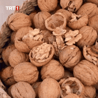 Hungry Brain GIF by TRT