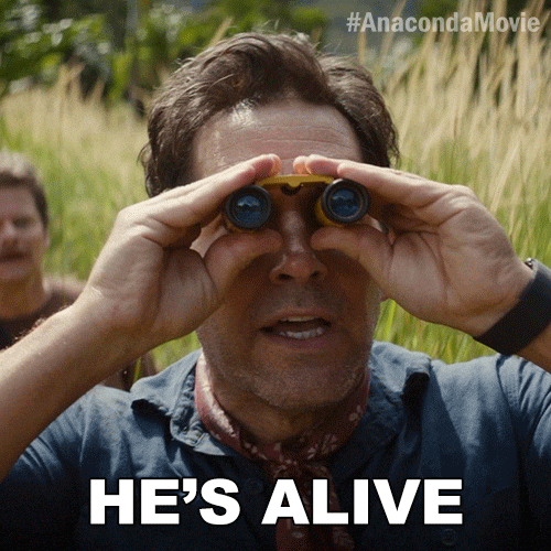 Celebration Goal GIF by Sony Pictures