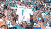 Miami Dolphins Football GIF by NFL