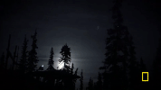 life below zero GIF by National Geographic Channel