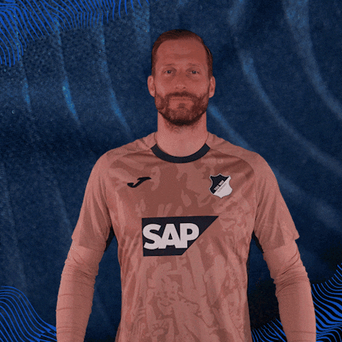 Sport Bundesliga GIF by TSG Hoffenheim
