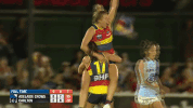 marinoff noffy GIF by Adelaide Crows