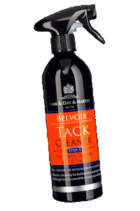 Horse Pony Sticker by carrdaymartin