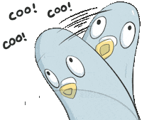 Bird Pigeon Sticker by Jin