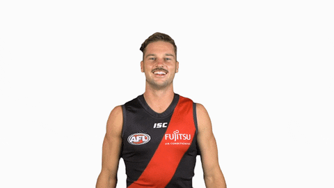 essendonfc giphyupload patrick dons bombers GIF