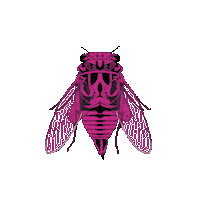 LaGerardo bicho cicada bichos insectos Sticker