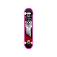 Awesome Fox Sticker by A Reason To Feel