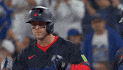 Blue Jays Baseball GIF by Toronto Blue Jays