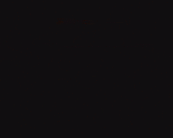 Fashion Show GIF
