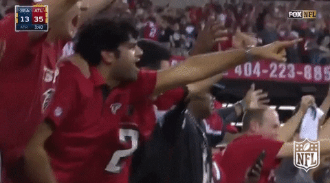 atlanta falcons GIF by NFL