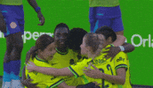 Washingtonspirit GIF by National Women's Soccer League