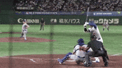 Home Run Sport GIF by MLB