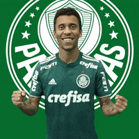 te amo love GIF by SE Palmeiras