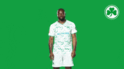 Show Point GIF by SpVgg Greuther Fürth