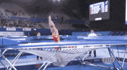 Bounce Trampoline GIF by FIG Gymnastics