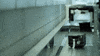 viceland GIF by WEEDIQUETTE