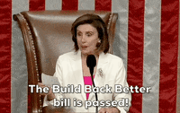 Nancy Pelosi Bbb GIF by GIPHY News