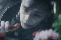 Stray Kids Skz GIF