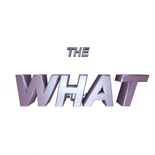 what the fuck GIF by AnimatedText