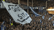 Everton Fc Utt GIF by Everton Football Club