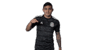 mexico national team football Sticker by MiSelecciónMX