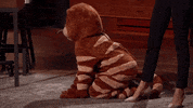 Season 10 GIF by ABC Network