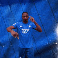 Sport Bundesliga GIF by TSG Hoffenheim