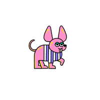 macadam_app dog walking walk walker GIF