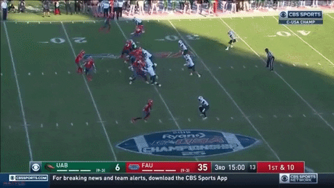 SchaufDS giphygifmaker GIF