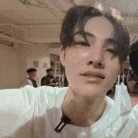 Cortis GIF