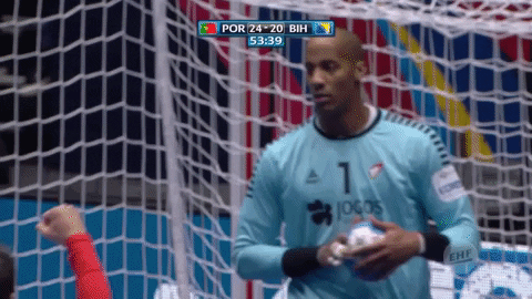 Save Fc Porto GIF by EHF