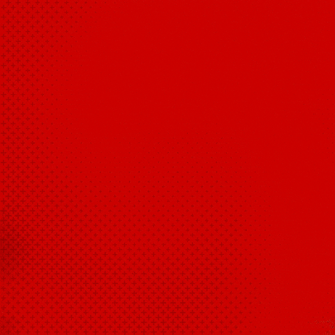 Posing Bayer 04 GIF by Bayer 04 Leverkusen