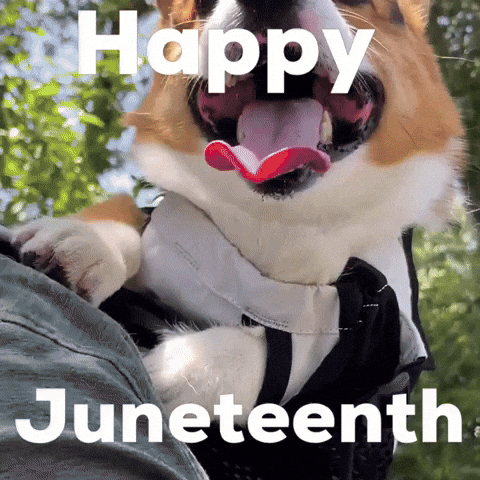 Happy Dog GIF