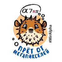 A9 Фотограф Sticker by Sony Россия