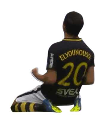 stockholm Sticker by AIK